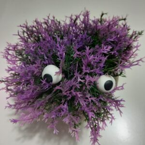 Eyeballs