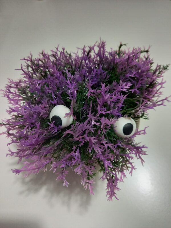 Eyeballs