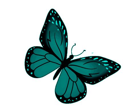 butterfly-teal