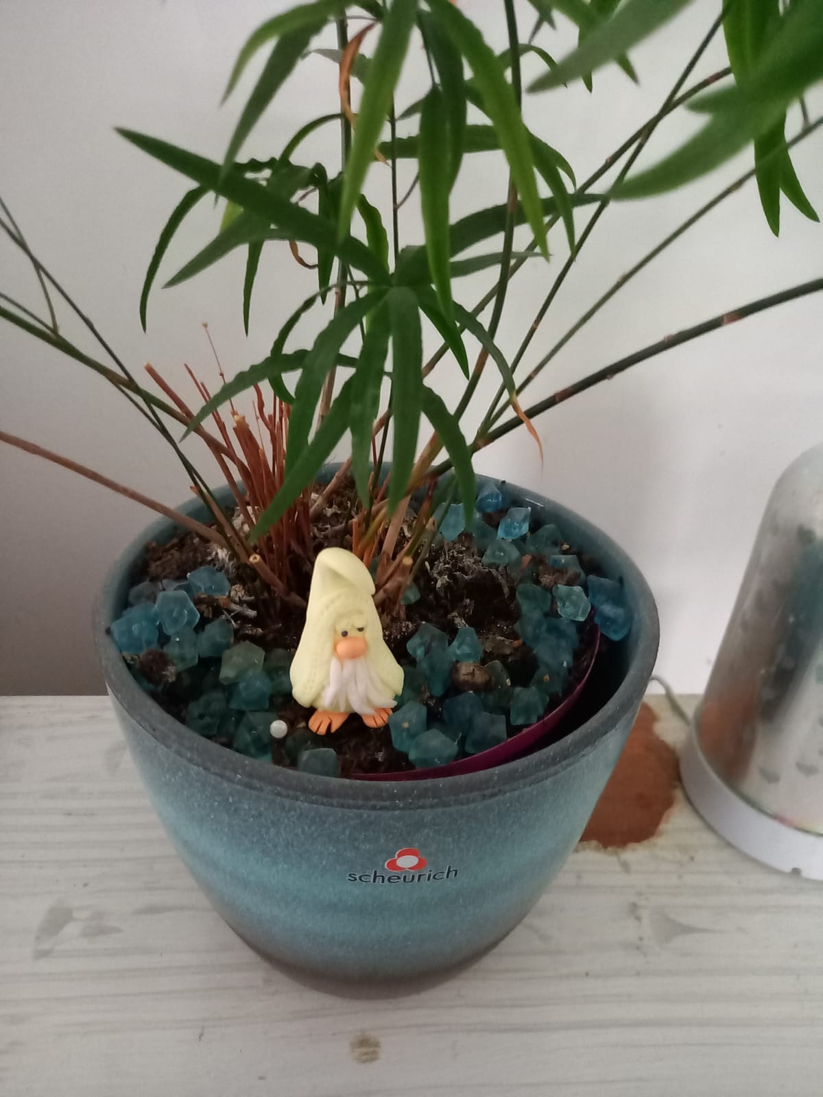 Pot Mate Gnomes - Image 5